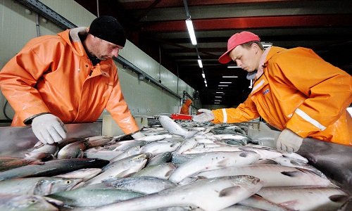 Красная икра